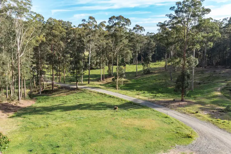 Third view of Homely rural property listing, 1033 Mandalong Road, Mandalong NSW 2264
