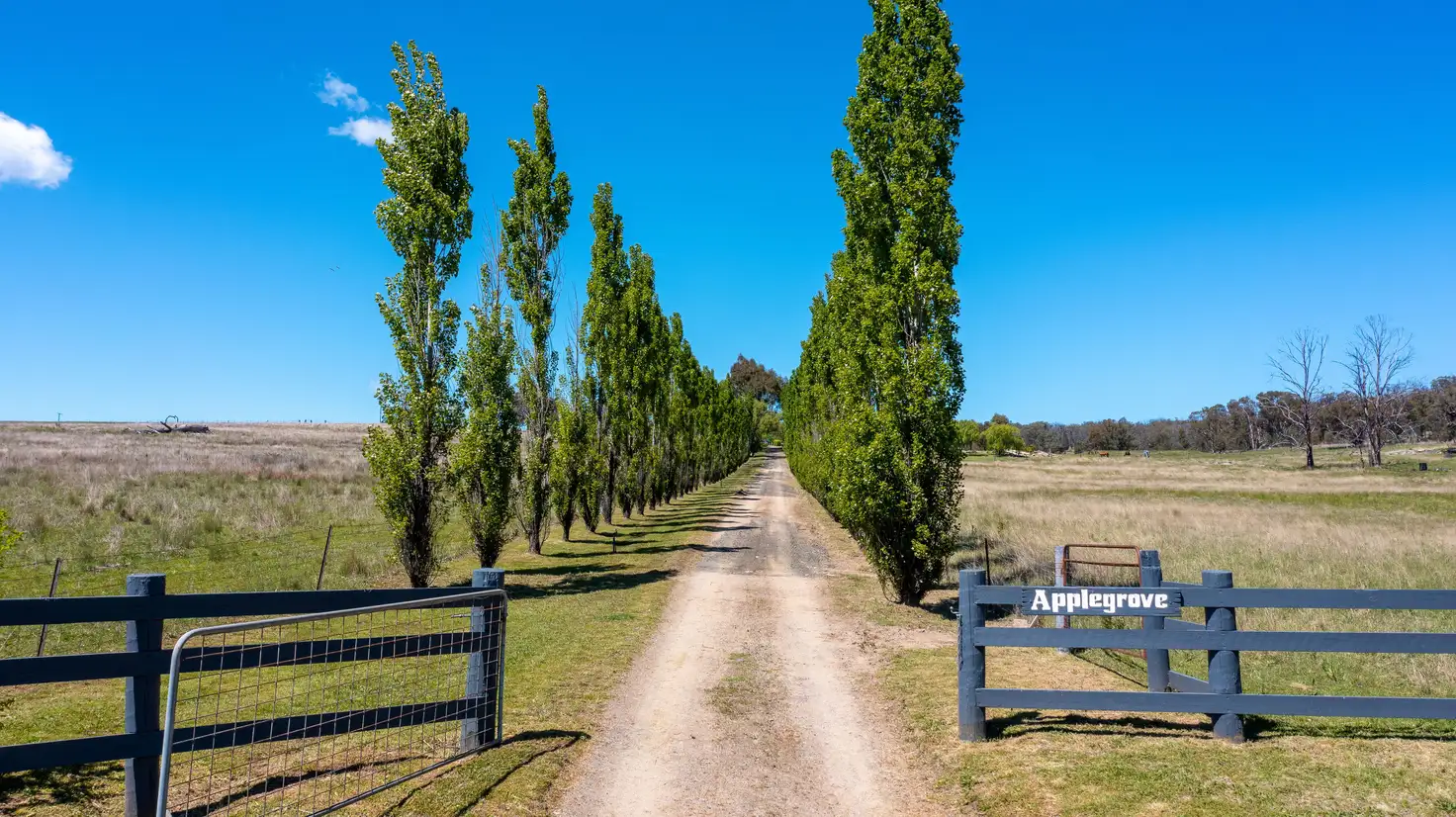 Main view of Homely rural property listing, 'Applegrove' 1153 New England Gully Road, Tamworth NSW 2340