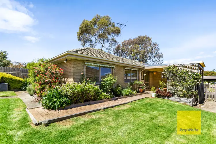 Main view of Homely house listing, 24 Allambee Avenue, Grovedale VIC 3216