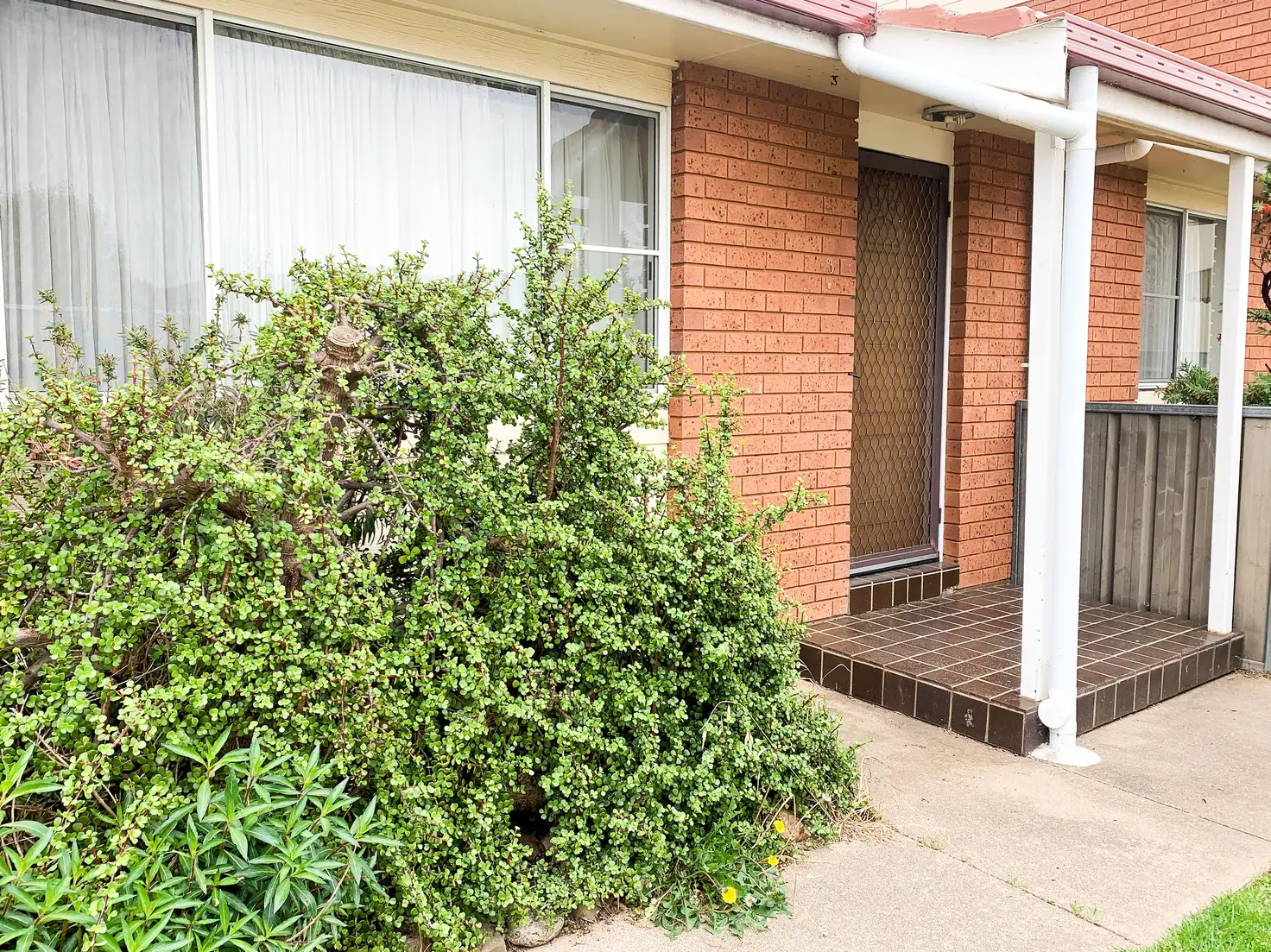 Main view of Homely house listing, 3/18 Lydia Street, Tamworth NSW 2340