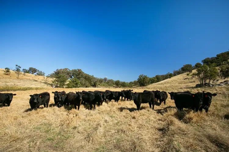 Seventh view of Homely rural property listing, Address available on request