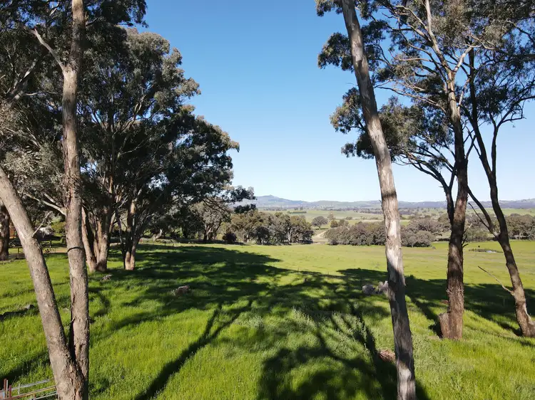 Seventh view of Homely rural property listing, 81 Newry Downs Road, Lyndhurst NSW 2797
