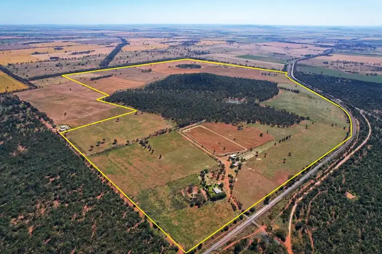 Second view of Homely rural property listing, 110 Gibba Road, Condobolin NSW 2877