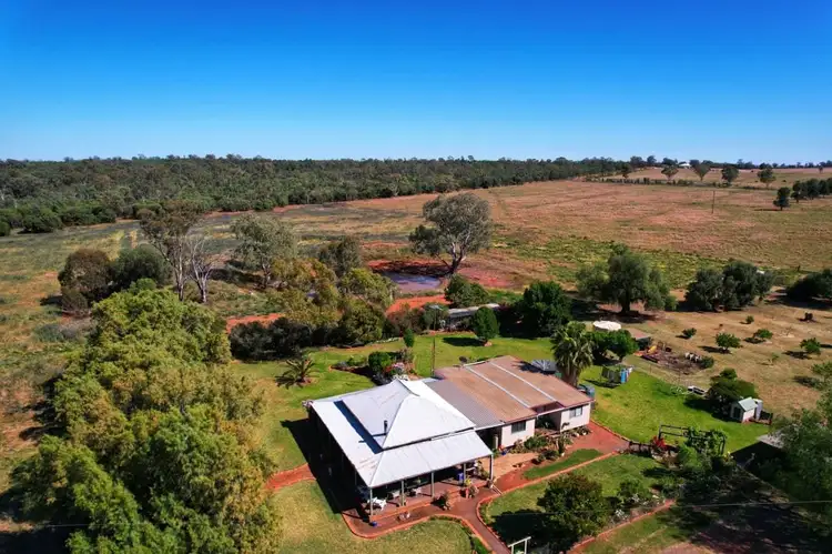 Seventh view of Homely rural property listing, 110 Gibba Road, Condobolin NSW 2877