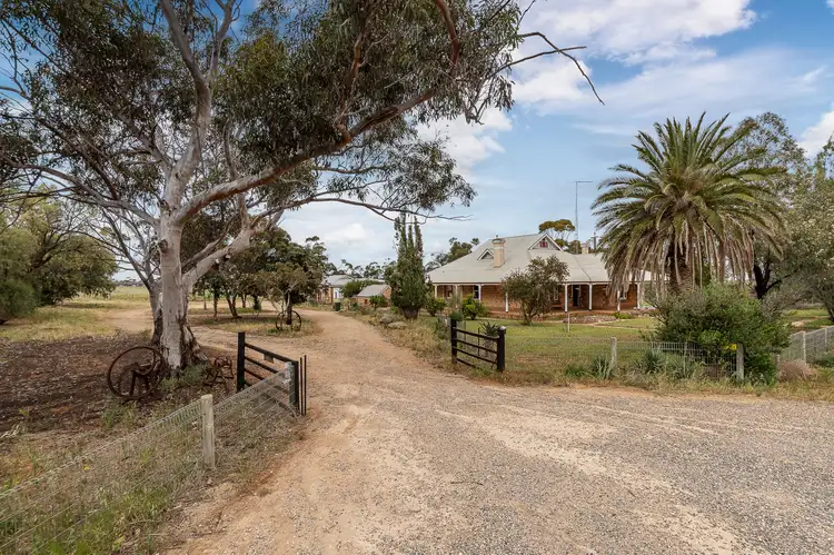 135 Mannum Road, Mannum SA 5238