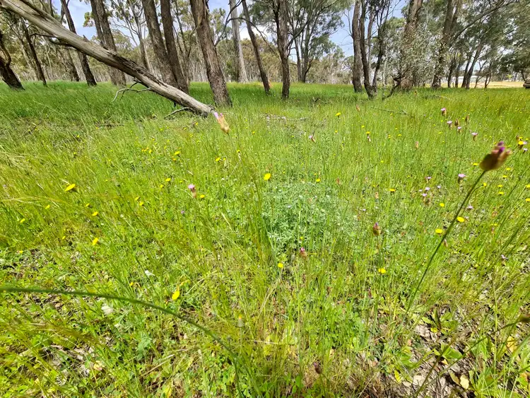 Second view of Homely land listing, LOT 3 & 4, 233 Brooks Creek Lane, Gundaroo NSW 2620