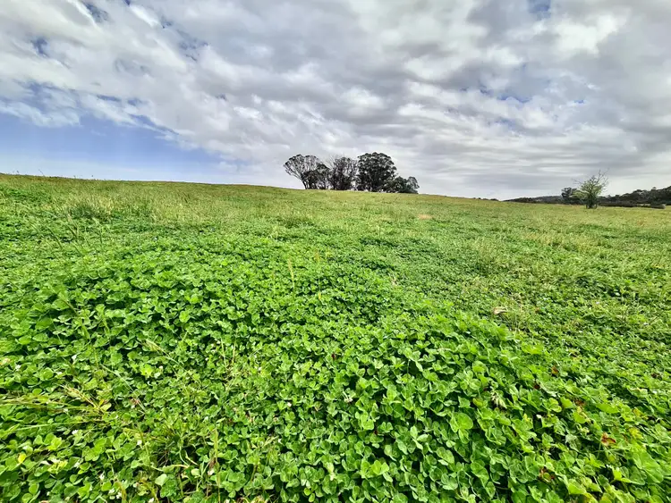 Fifth view of Homely land listing, LOT 3 & 4, 233 Brooks Creek Lane, Gundaroo NSW 2620