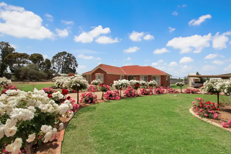20102 Renmark Avenue, Renmark SA 5341