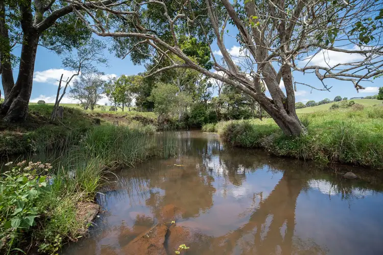 Seventh view of Homely rural property listing, 152 Binna Burra Road, Beechmont QLD 4211
