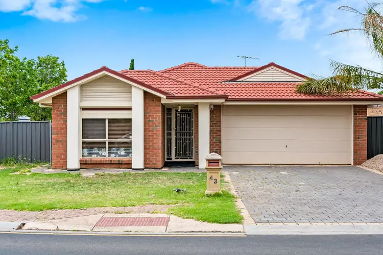 Main view of Homely house listing, 43 Gairdner Boulevard, Andrews Farm SA 5114