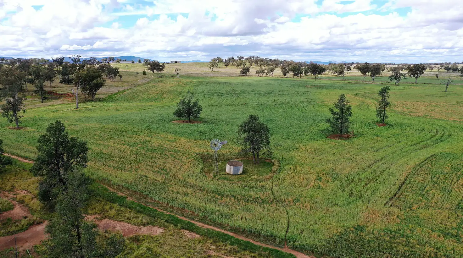 Main view of Homely rural property listing, 2629 Rangari Road, Manilla NSW 2346