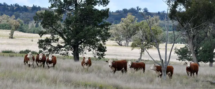 Second view of Homely rural property listing, 2629 Rangari Road, Manilla NSW 2346