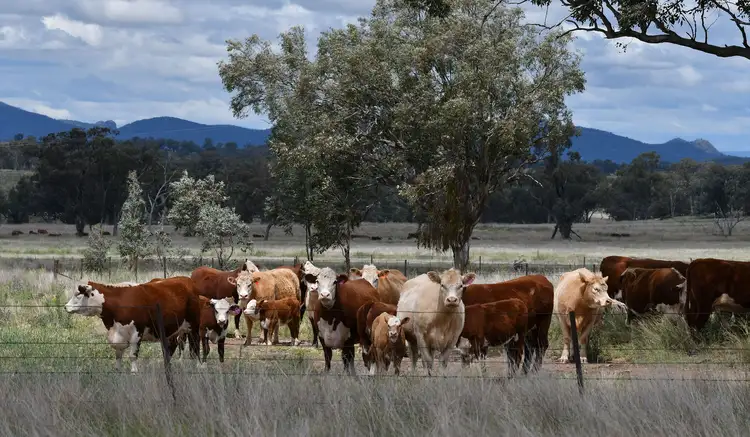 Third view of Homely rural property listing, 2629 Rangari Road, Manilla NSW 2346