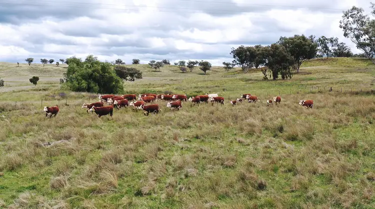 Sixth view of Homely rural property listing, 2629 Rangari Road, Manilla NSW 2346