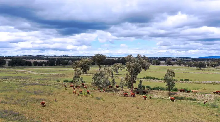 Seventh view of Homely rural property listing, 2629 Rangari Road, Manilla NSW 2346