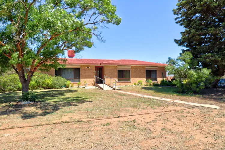 Main view of Homely house listing, 23-24 South Terrace, Pinnaroo SA 5304