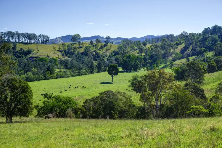 Sixth view of Homely rural property listing, 299 Callaghans Creek Road, Gloucester NSW 2422