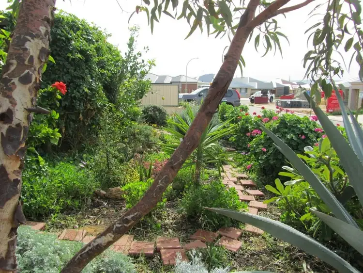 Third view of Homely house listing, 29 Bagley Crescent, Mount Tarcoola WA 6530