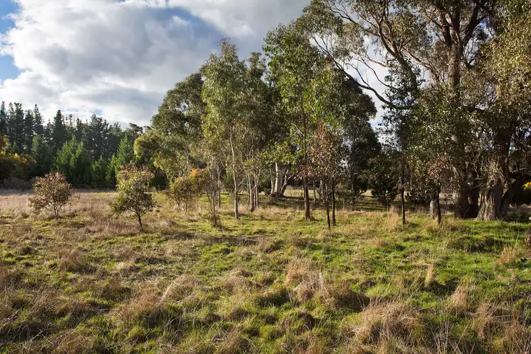 Fourth view of Homely land listing, 1161 Browns Gap Road, Little Hartley NSW 2790