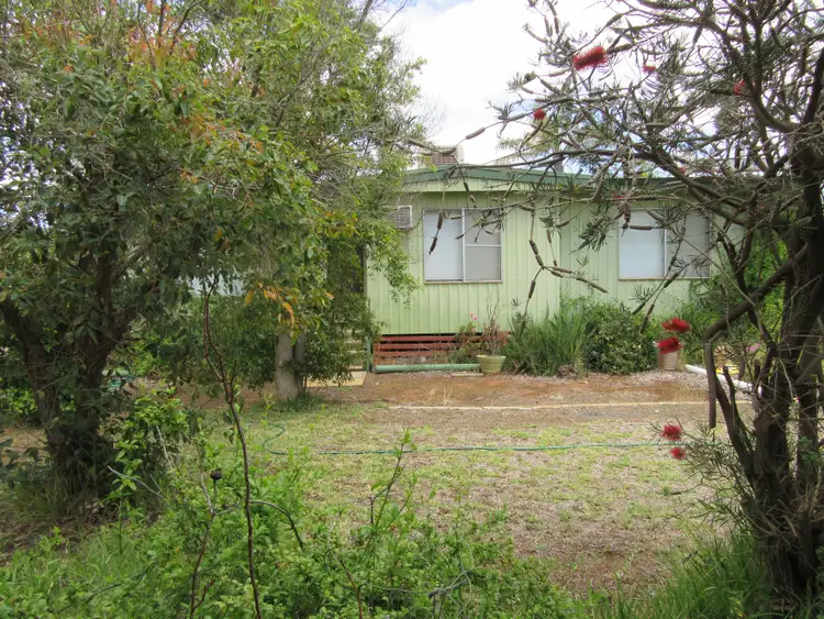 Second view of Homely house listing, 50 Williamson Street, Three Springs WA 6519