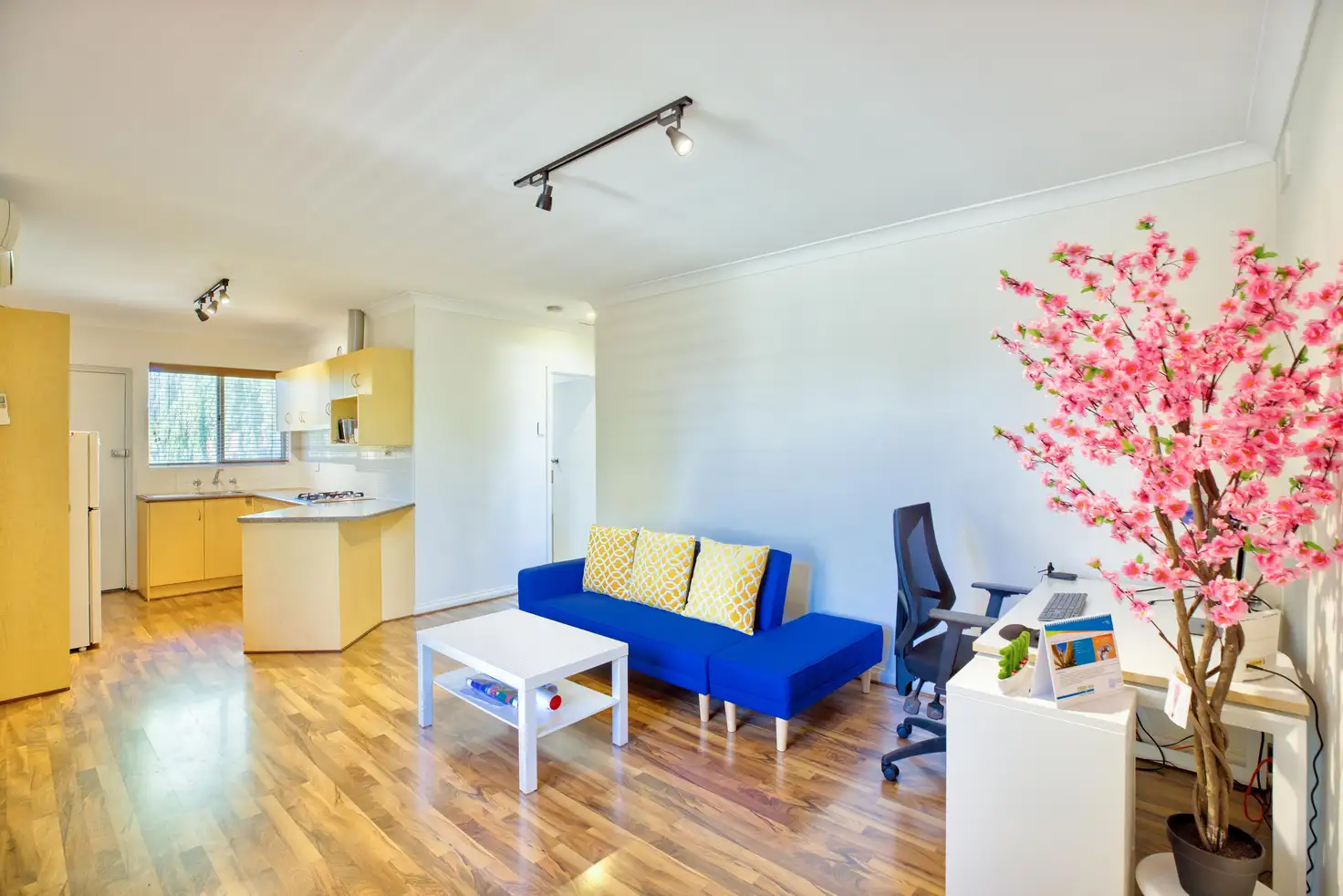 Main view of Homely unit listing, 8/1A Darebin Street, Mile End SA 5031
