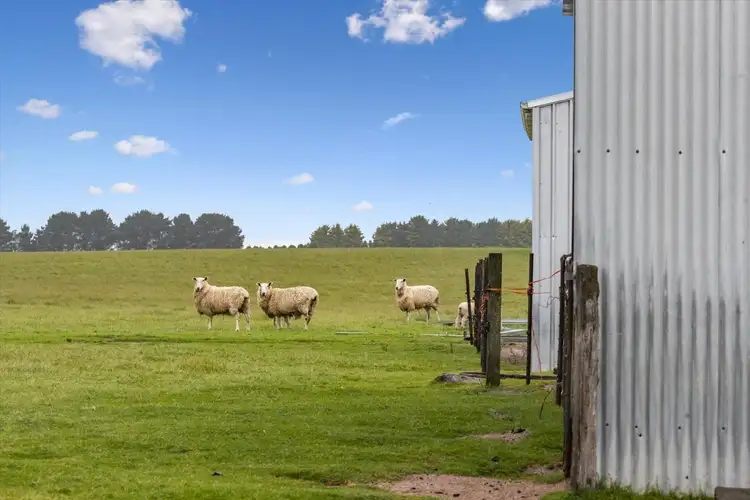 Sixth view of Homely rural property listing, 147 Reidsdale Road, Reidsdale NSW 2622
