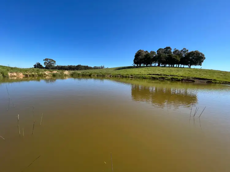 Third view of Homely rural property listing, Lot 3011 Faugha Ballaugha Road, Oberon NSW 2787