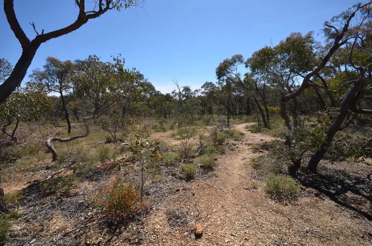 Fifth view of Homely rural property listing, Lot 2 Junortoun Road, Junortoun VIC 3551