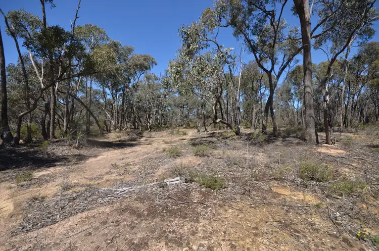 Sixth view of Homely rural property listing, Lot 2 Junortoun Road, Junortoun VIC 3551
