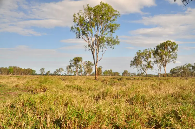 "Lagoon Paddock" Fogarty Road, Fairy Bower QLD 4700
