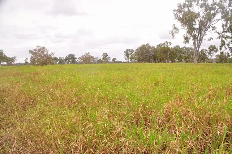 Fifth view of Homely rural property listing, "Lagoon Paddock" Fogarty Road, Fairy Bower QLD 4700