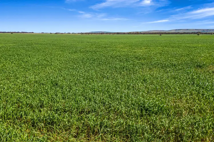 Seventh view of Homely rural property listing, 'Standpipe' Wanappe Road, Halbury SA 5461