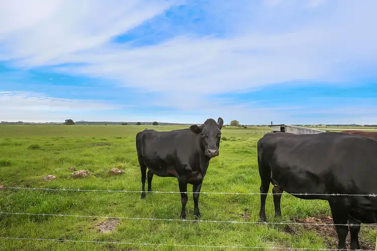 Sixth view of Homely rural property listing, 3103 Princes Highway, Weerite VIC 3260