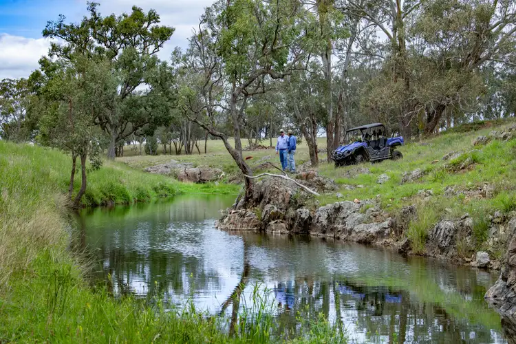 Third view of Homely rural property listing, 446 Derreen Road, Wildash QLD 4370