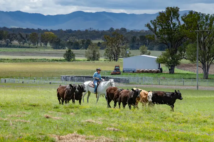 Fourth view of Homely rural property listing, 446 Derreen Road, Wildash QLD 4370