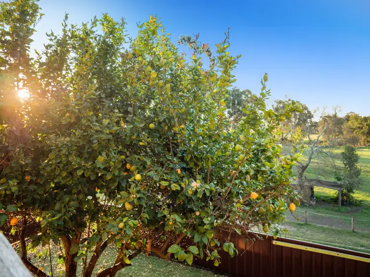 Fifth view of Homely house listing, 13 James Ruse Close, Windsor NSW 2756