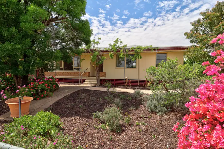 27 Hayward Terrace, Loxton SA 5333