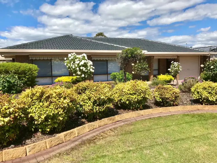 Main view of Homely house listing, 13 Brandt Street, Flagstaff Hill SA 5159