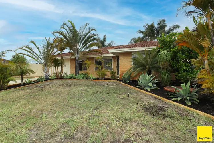 Second view of Homely house listing, 3 Cocos Grove, Kiara WA 6054