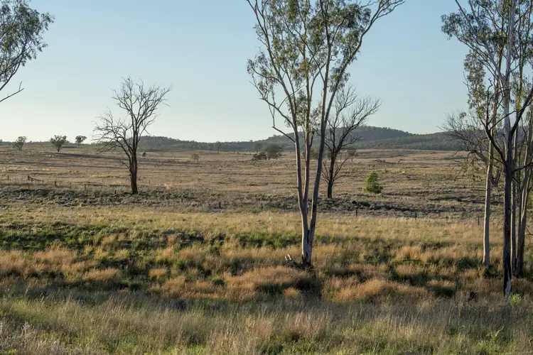 Fifth view of Homely rural property listing, 1568 Columba Road, Gore QLD 4352