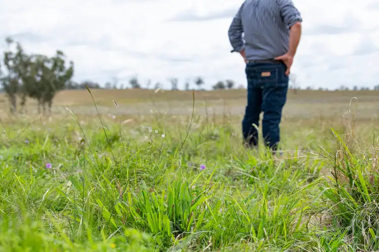 Fourth view of Homely rural property listing, 1247 Columba Road, Gore QLD 4352