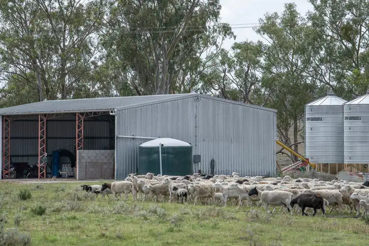 Seventh view of Homely rural property listing, 1247 Columba Road, Gore QLD 4352