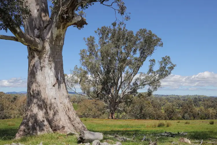 Fourth view of Homely land listing, 630 Old Tolmie Road, Barwite VIC 3722