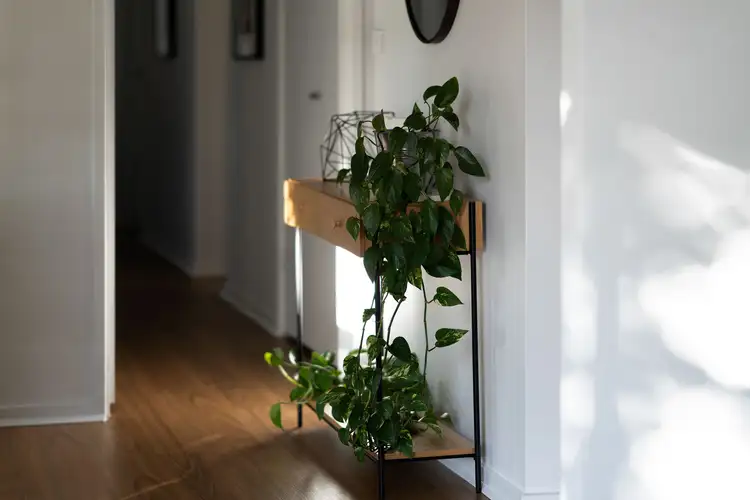 Fifth view of Homely house listing, 86 Bugden Avenue, Gowrie ACT 2904