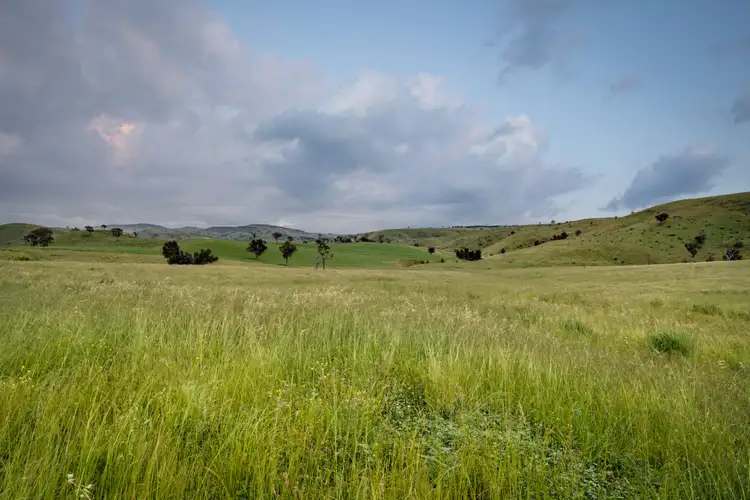 Fifth view of Homely house listing, 396 Oakey Creek Road, Wallaroo NSW 2618