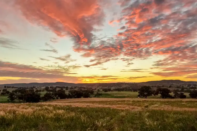 Second view of Homely rural property listing, 57 Coates Creek Road, Manildra NSW 2865