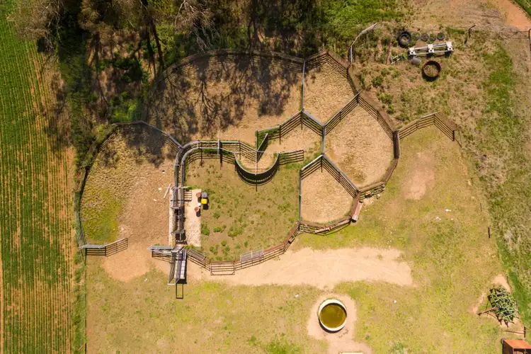 Sixth view of Homely rural property listing, 57 Coates Creek Road, Manildra NSW 2865