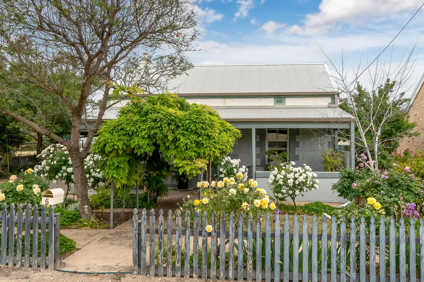 Main view of Homely house listing, 5 Seymour Street, Tailem Bend SA 5260