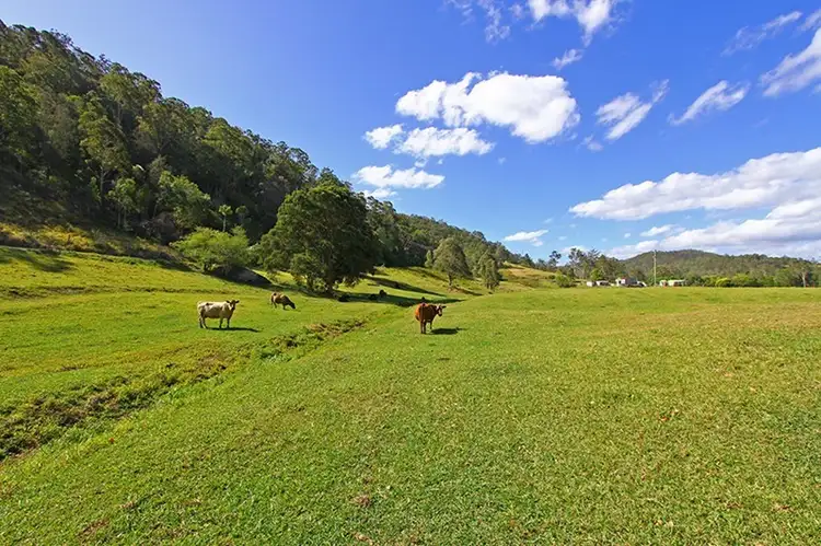 Second view of Homely rural property listing, 10 Priests Ridge Road, Yarramalong NSW 2259