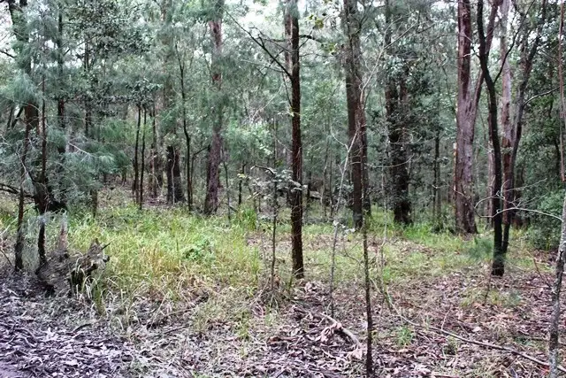 Second view of Homely rural property listing, 200 Morton Road, Cedar Creek NSW 2325